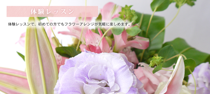 体験レッスン
